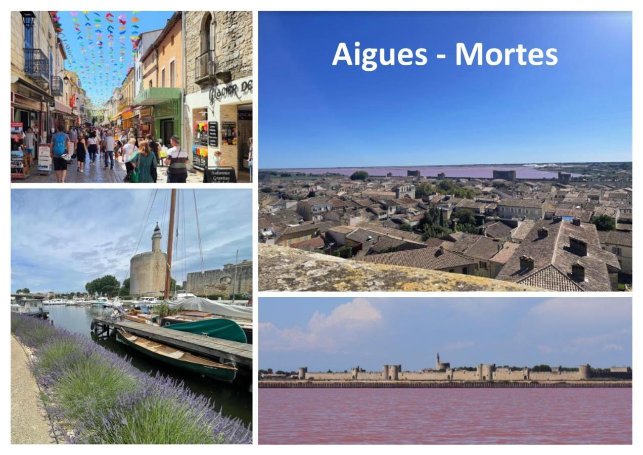 Le Mazet Sooksabai, Confort, Charme Et Decouverte En Petite Camargue แซงต์-โลรองต์-เดกูซ ภายนอก รูปภาพ